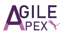 Agile Apex